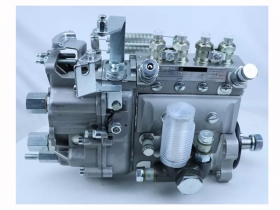 Diesel injection Pump Assembly 101401-0870